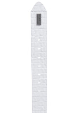 CG176 MEN'S BELTS