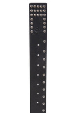 CG163 Men's leather belt with stud trim