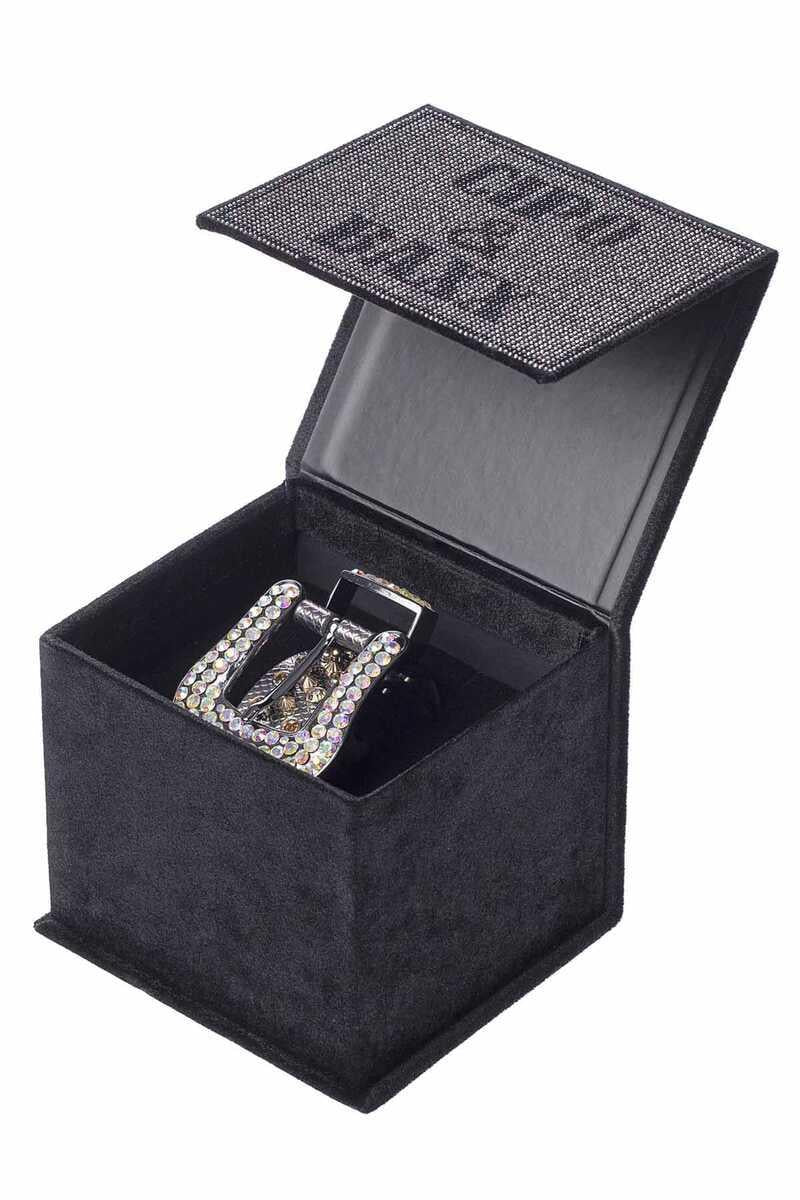 CG208 Men's Belt with Premium Silver